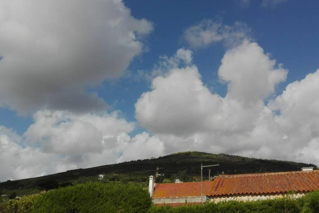 Villa - Torres Vedras, Lisbon Country Side Almeirinhos de Baixo Exterior foto